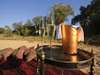 Exeter Dulini Private Game Lodge - Champagne 